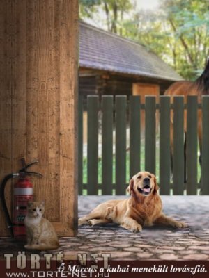 Marcus, a lovász 1. rész