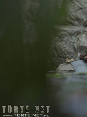 Lara kéjes kalandjai 4. rész